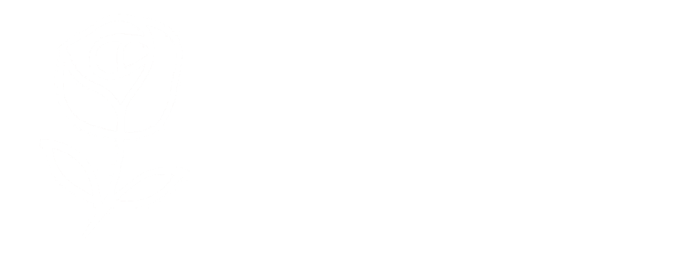 drfidel logo
